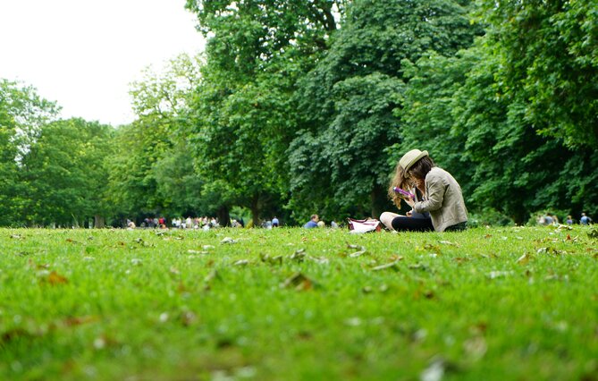 (93) Seine-Saint-Denis : le département lance un appel à projet pour sensibiliser les collégiens à la biodiversité urbaine 